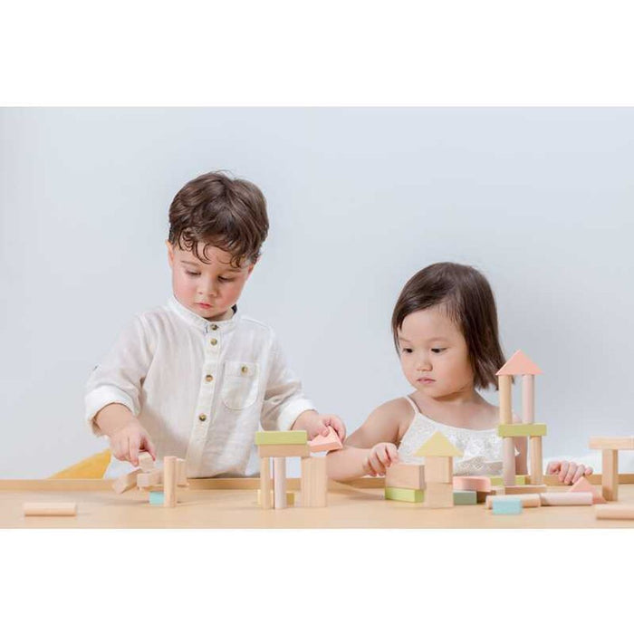 40 Unit Blocks Wooden Kids Toy - The Well Appointed House