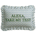 "Alexa" Ruffled Embroidered Pillow - The Well Appointed House