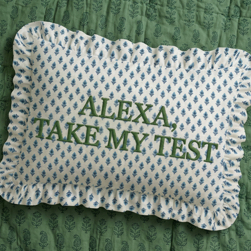 "Alexa" Ruffled Embroidered Pillow - The Well Appointed House