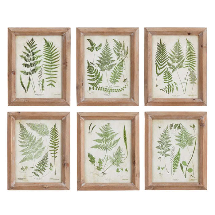 Assorted Frond Study Petite, Set of 6 - The Well Appointed House