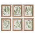 Assorted Frond Study Petite, Set of 6 - The Well Appointed House