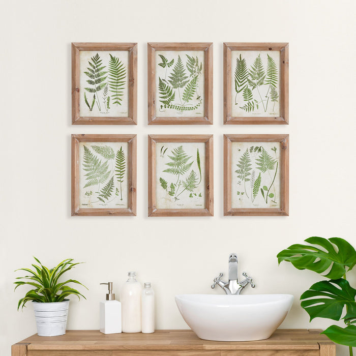 Assorted Frond Study Petite, Set of 6 - The Well Appointed House