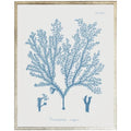 Blue Coral Framed Wall Art I - Paintings - The Well Appointed House
