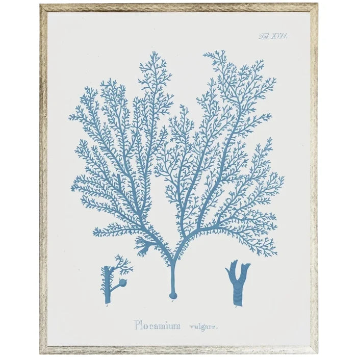 Blue Coral Framed Wall Art I - Paintings - The Well Appointed House