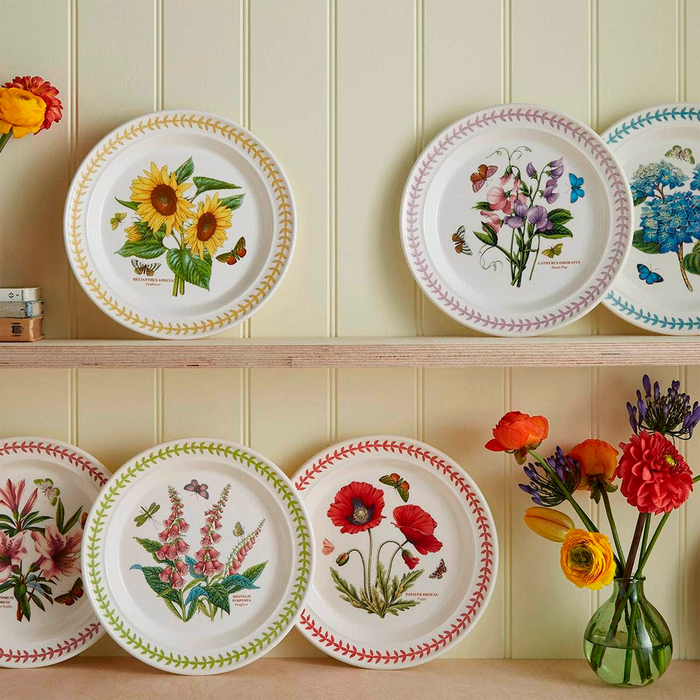 Botanic Garden Meadow 10.5" Plate Set of 6 - The Well Appointed House