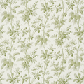 Brantwood Vine in Leaf - The Well Appointed House