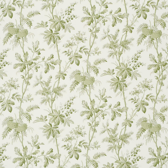 Brantwood Vine in Leaf - The Well Appointed House