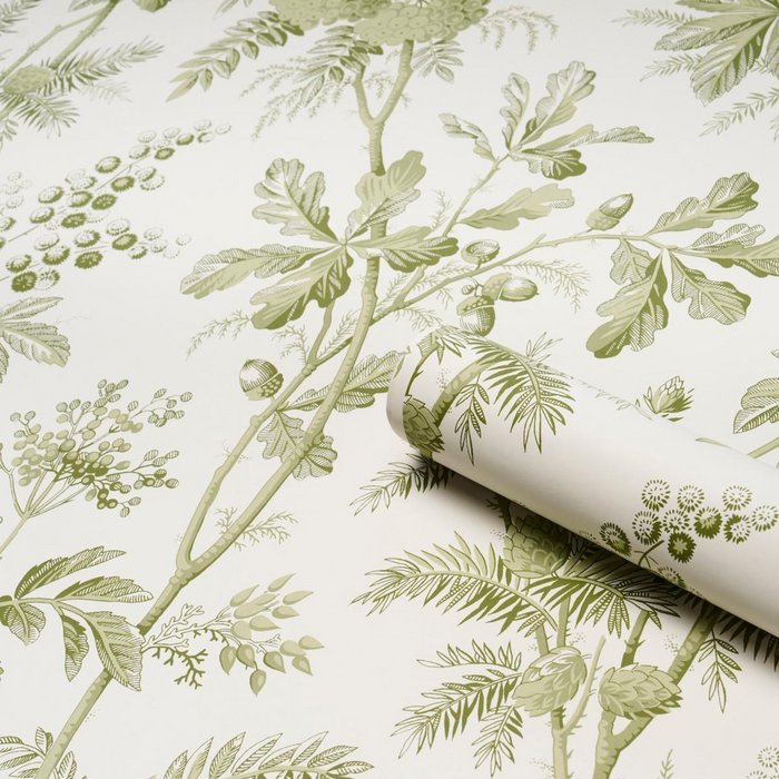 Brantwood Vine in Leaf - The Well Appointed House