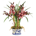 Cymbidium Pink Orchid in Oval Planter - The Well Appointed House