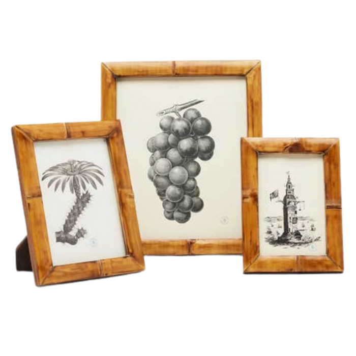 Greely Bamboo Frames - The Well Appointed House