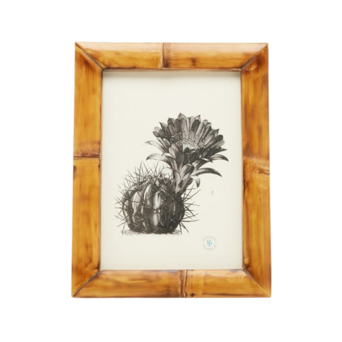Greely Bamboo Frames - The Well Appointed House