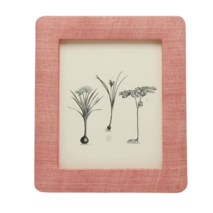 Halle Abaca Frame in Vintage Rose - The Well Appointed House