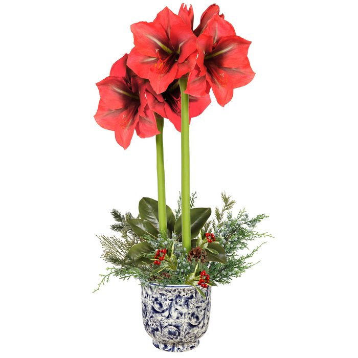 Holiday Amaryllis Arrangement 26" - The Well Appointed House