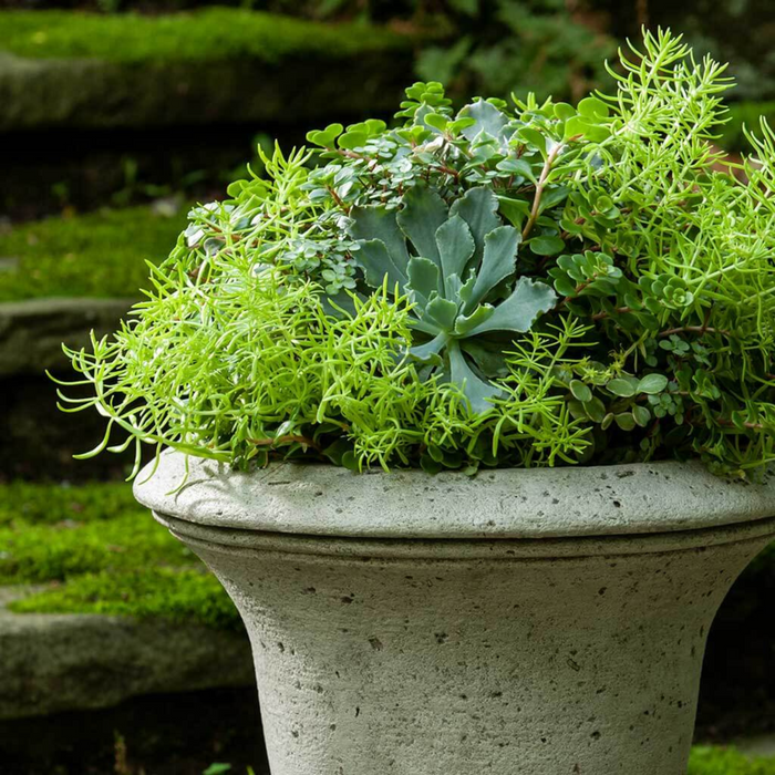 Linwood Urn Planter - The Well Appointed House