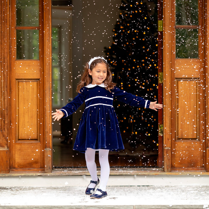 Long Sleeve Grace Dress in Midnight Blue Velvet - The Well Appointed House