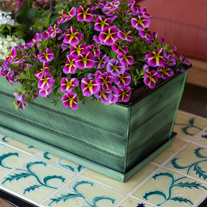 Medium Galvanized Flower Boxes with Trays - The Well Appointed House