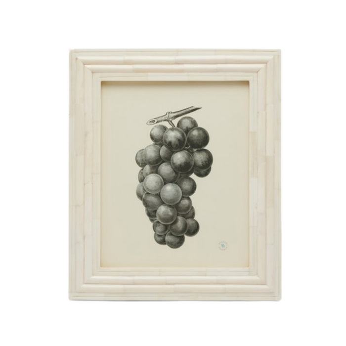 Novara Natural Bone Picture Frame - The Well Appointed House