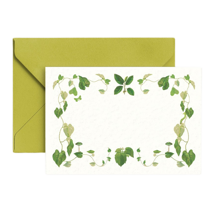 Selva Gift Enclosure Cards - The Well Appointed House