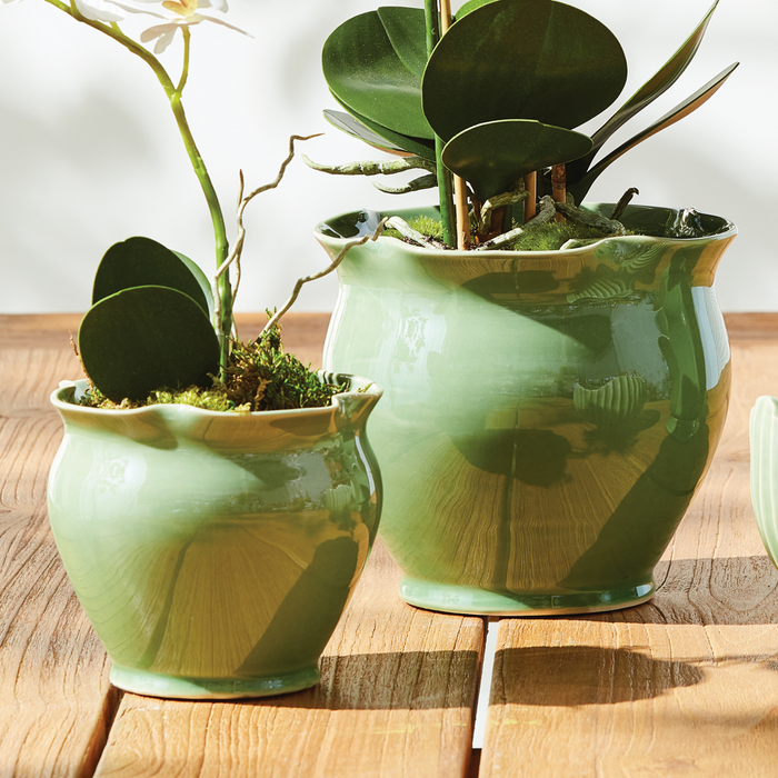 Set of Two Megan Pots - The Well Appointed House