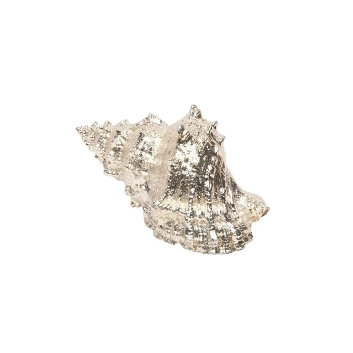Silver Dipped Decorative Bursa Shells - Decorative Objects - The Well Appointed House