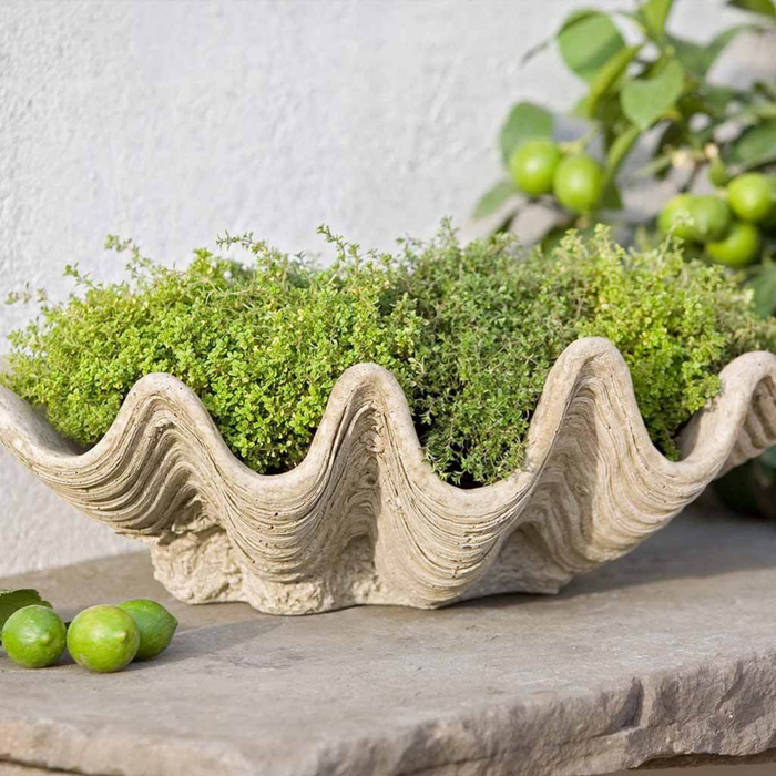 South Seas Planter - The Well Appointed House