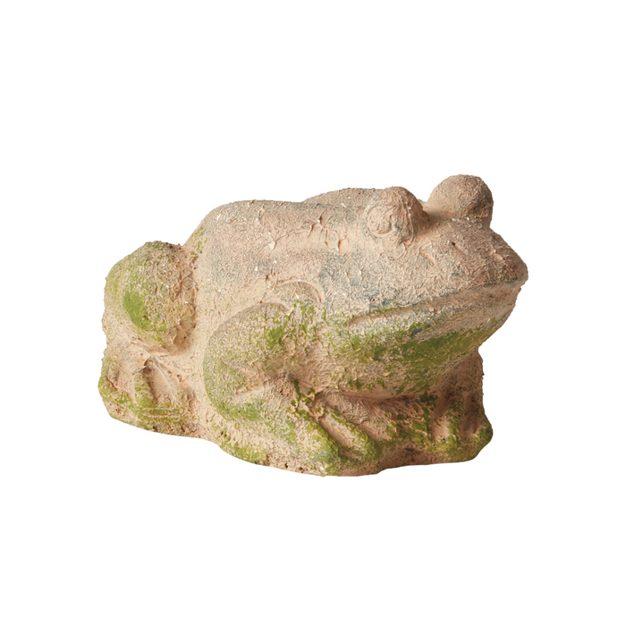Weathered Garden Frog - The Well Appointed House