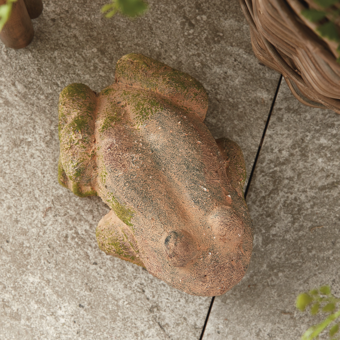 Weathered Garden Frog - The Well Appointed House