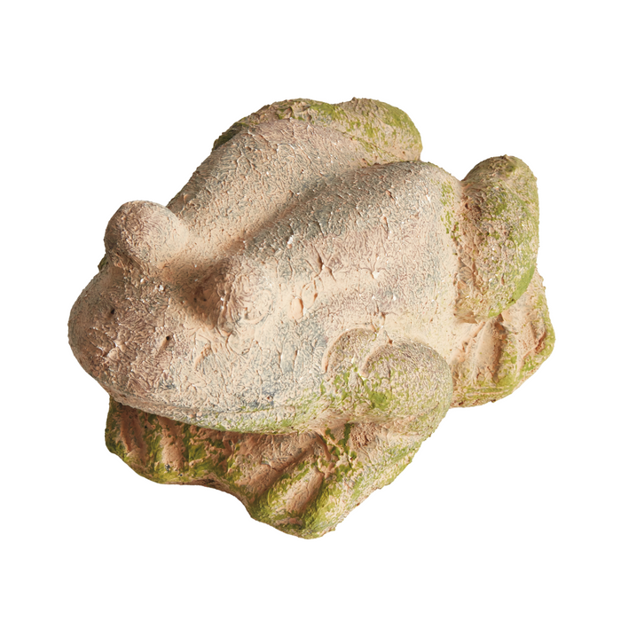 Weathered Garden Frog - The Well Appointed House